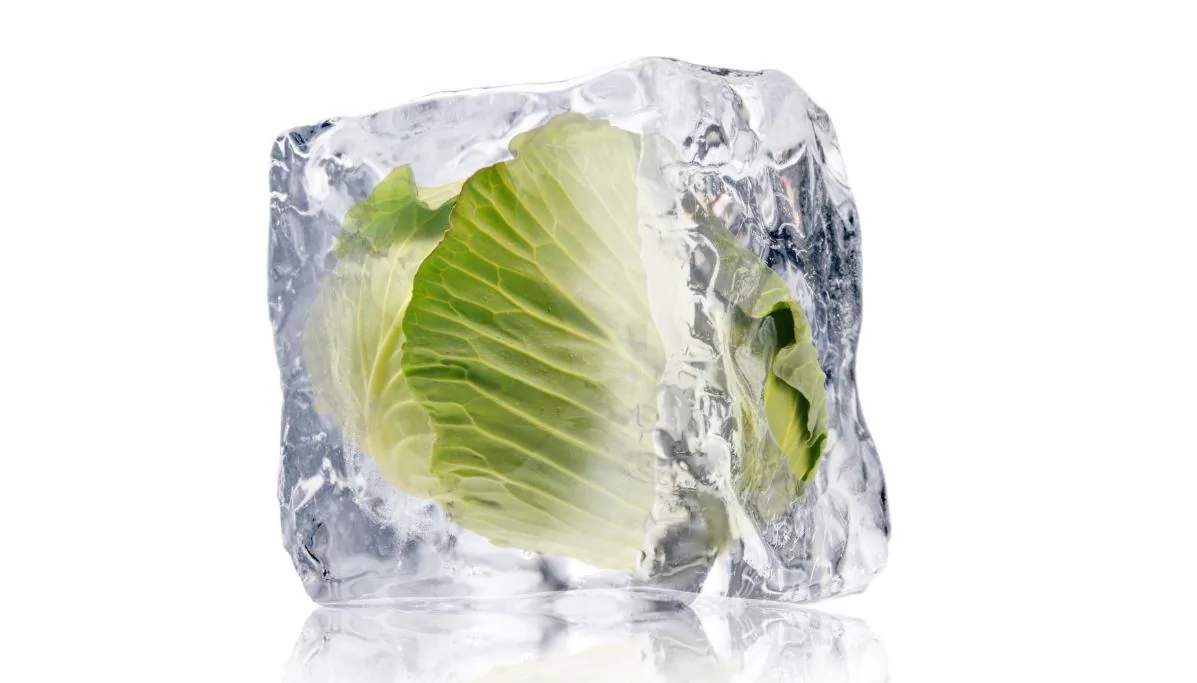 What Leafy Greens Can Be Frozen