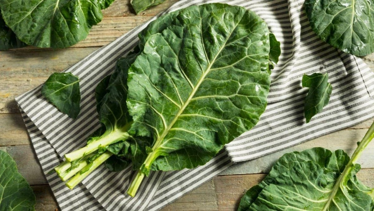 What Leafy Vegetables Are High in Iron