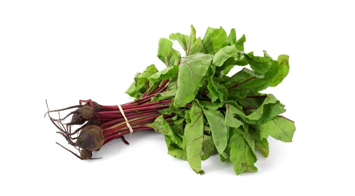 What Leafy Vegetables Are High in Zinc