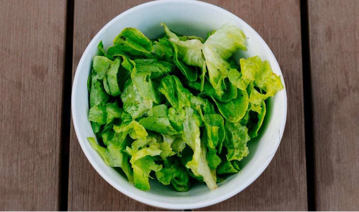 Can Lettuce Be Fermented?