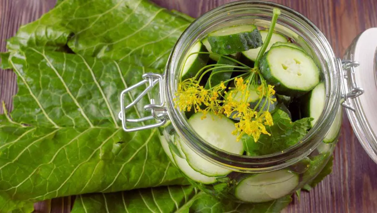 Can You Get Sick From Fermented Vegetables
