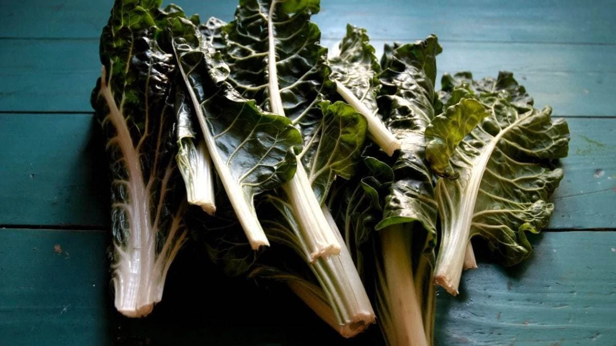 Fermented Swiss Chard Leaves