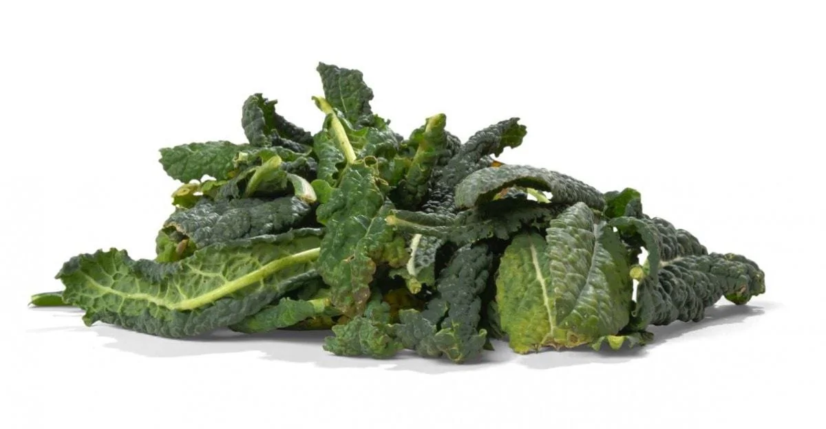 How Long Do Leafy Greens Take To Digest