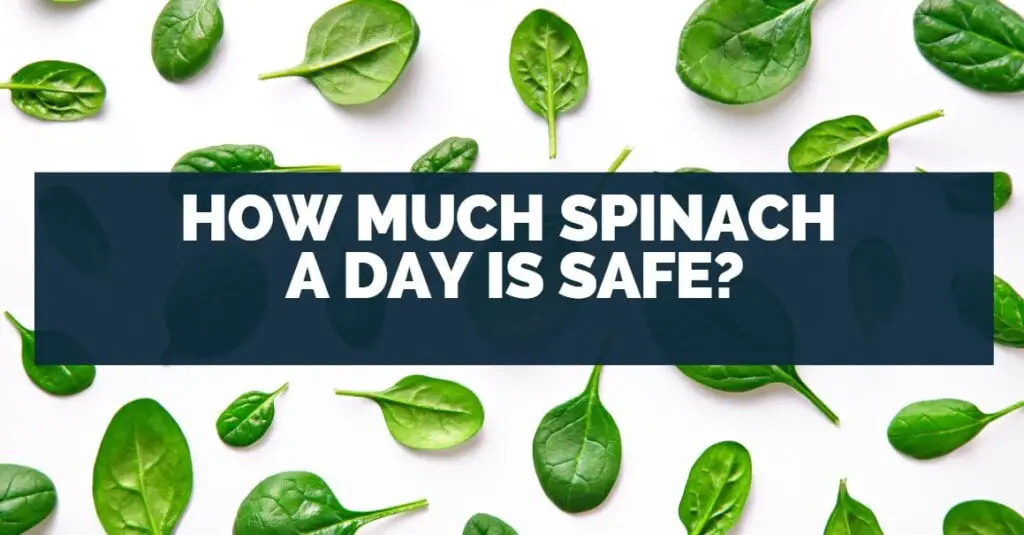 Daily Spinach Intake Ideal Quantity to Stay Safe & Healthy