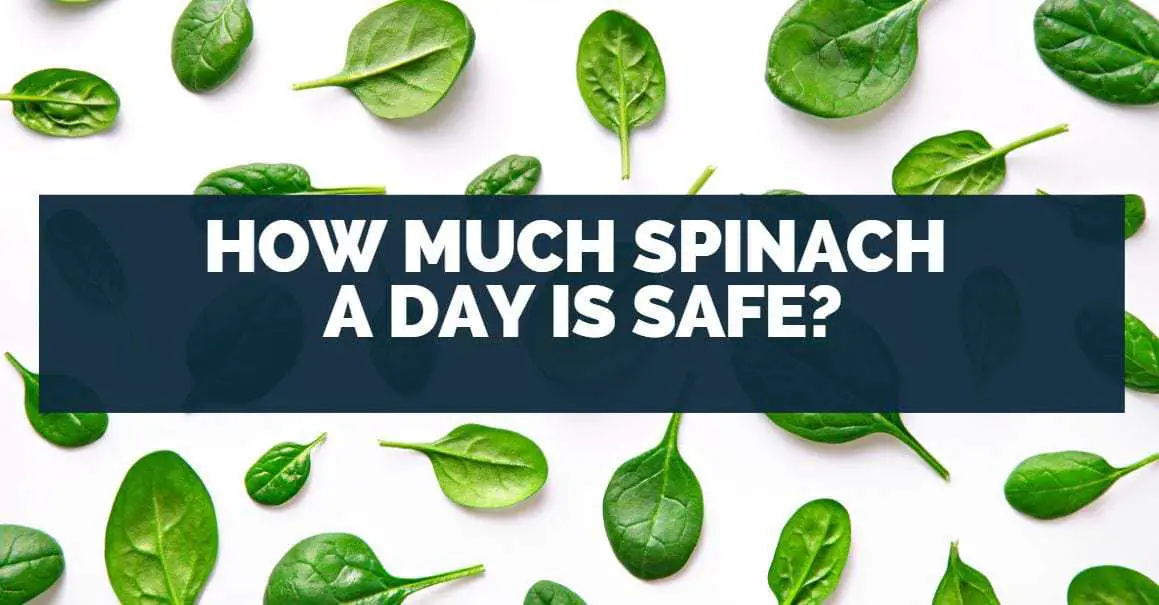 How Much Spinach A Day Is Safe?