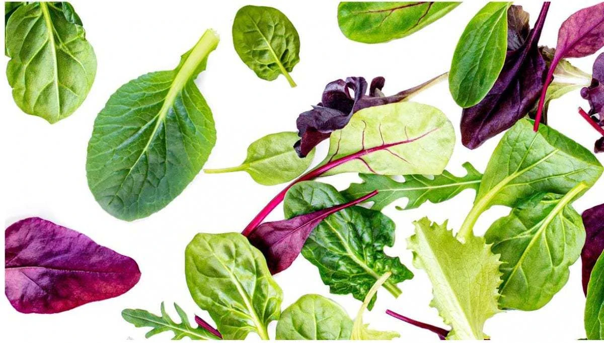 How To Incorporate Leafy Greens Into Diet
