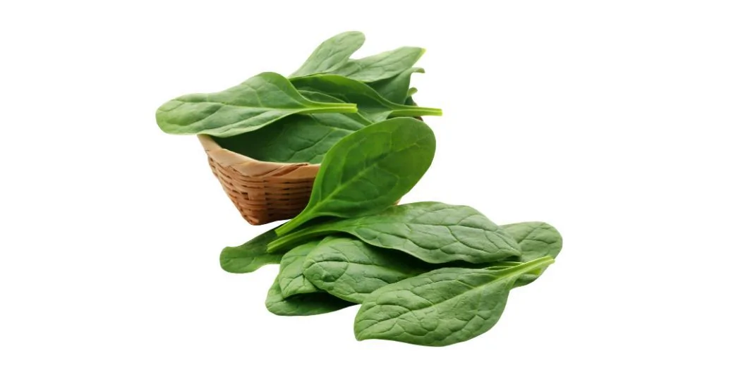 How much iron does spinach have
