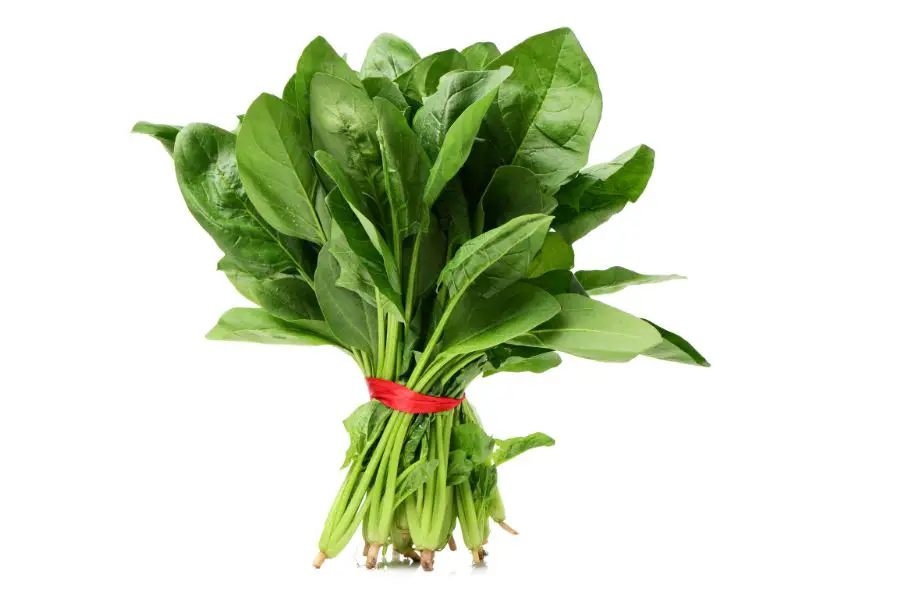 How much magnesium does spinach have