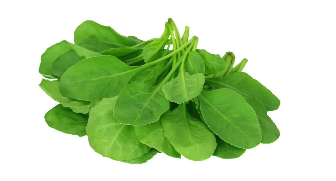 How much potassium in spinach
