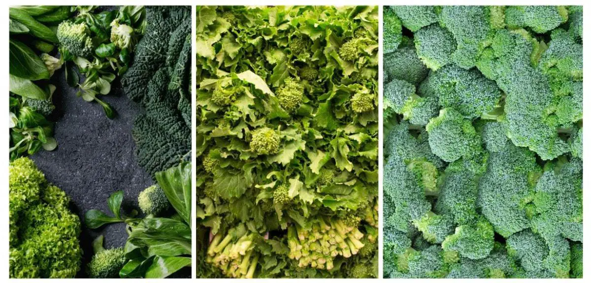 Leafy Greens vs. Broccoli