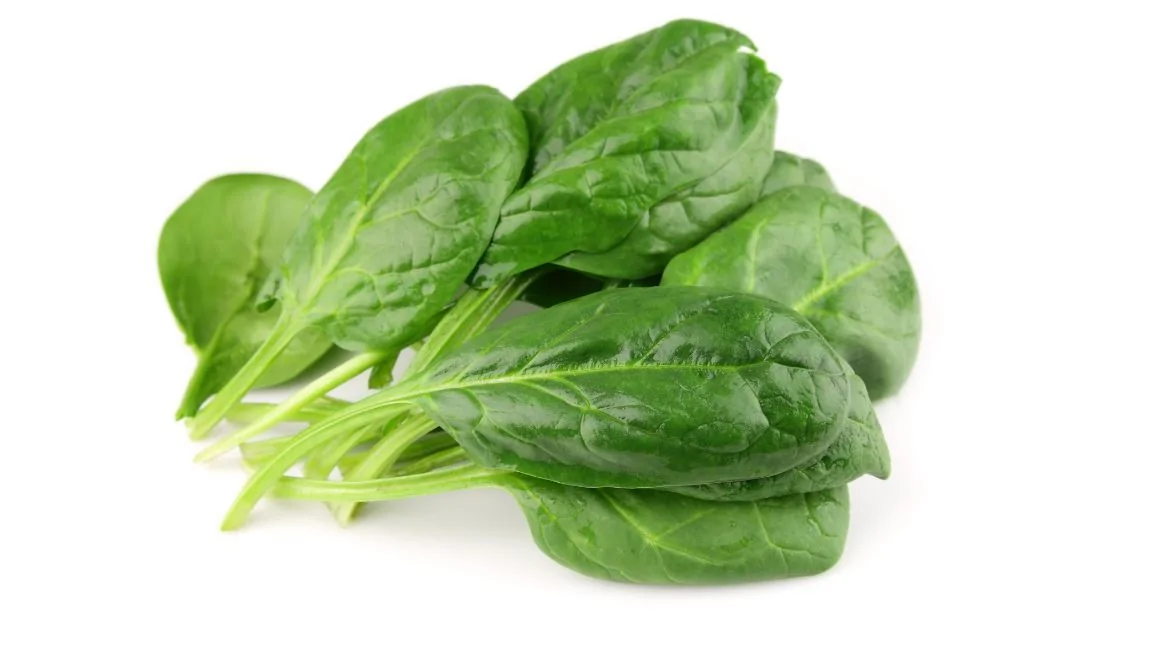 Raw spinach nutritional facts per 100g