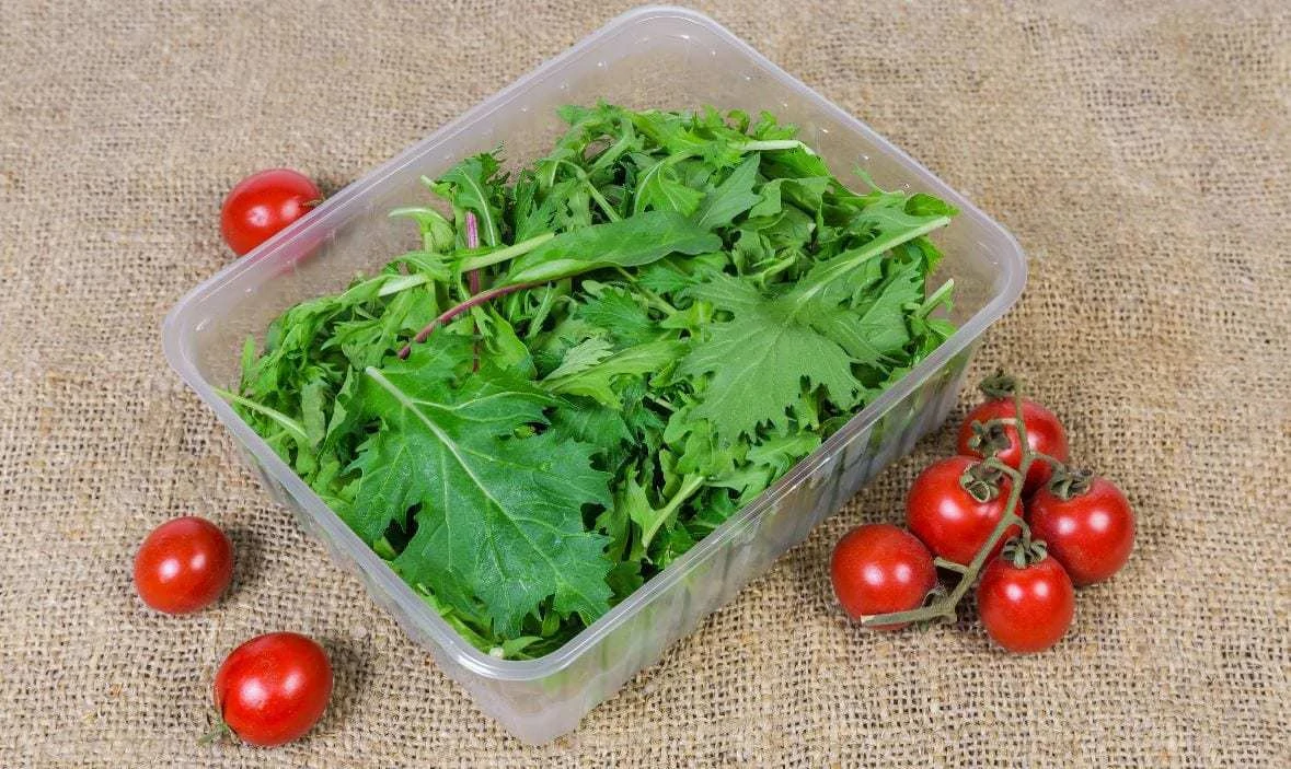 Storage Containers for Leafy Greens