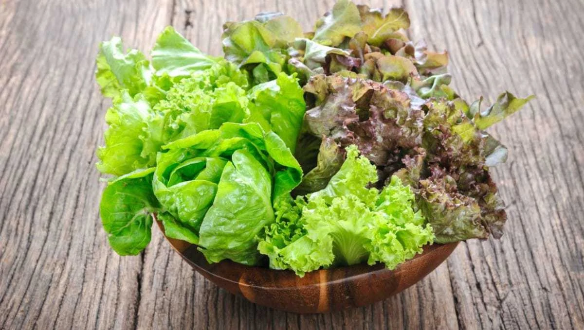 What Is the Lowest Carb Lettuce
