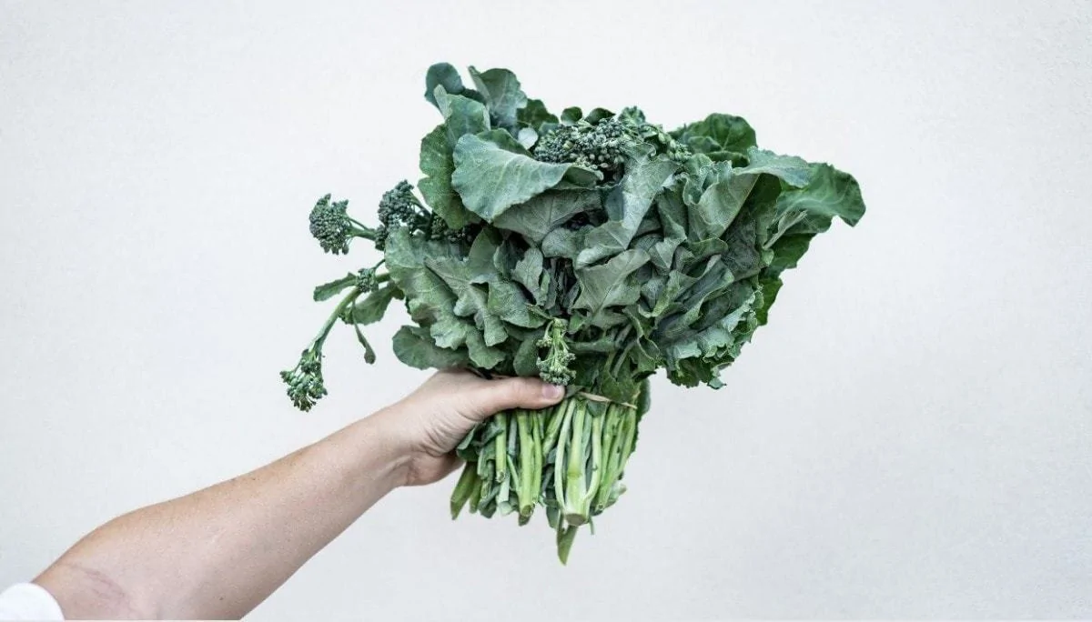 Why Leafy Greens Will Help You Poop