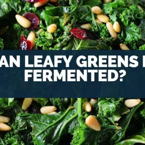 Can Leafy Greens Be Fermented?