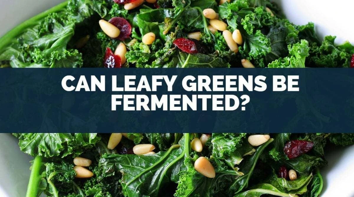 can leafy greens be fermented