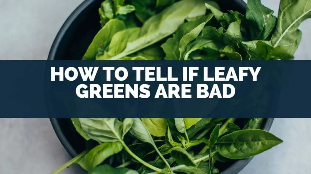 Easy Guide Tell if Leafy Greens Are Bad for Consumption