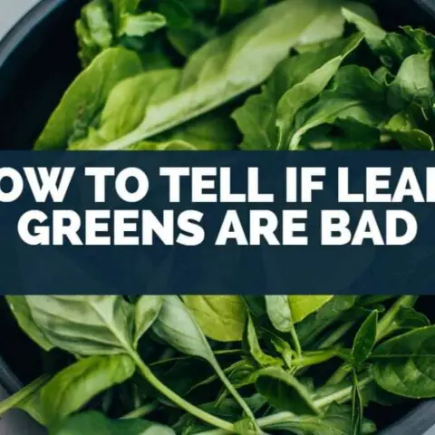 How To Tell if Leafy Greens Are Bad?