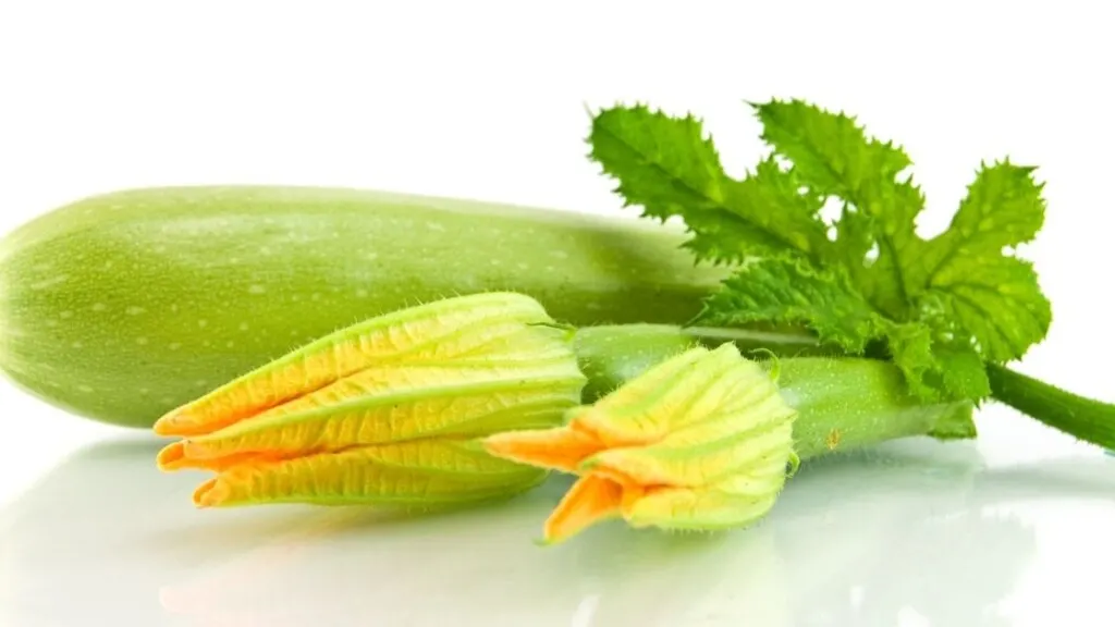 5 Health Benefits of Zucchini Leaves