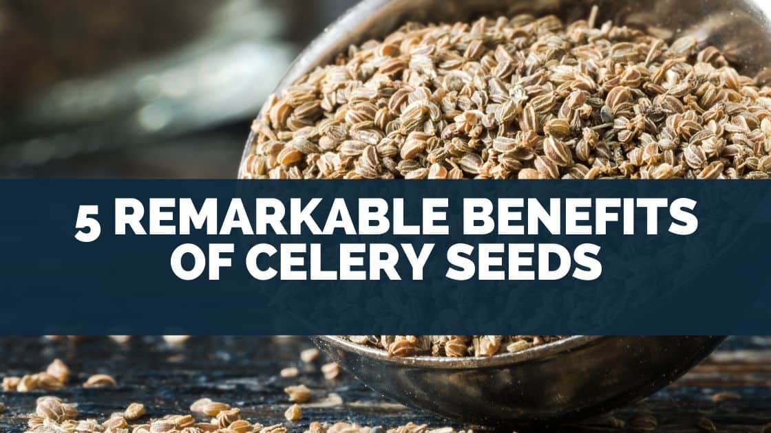 5 Remarkable Benefits of Celery Seeds