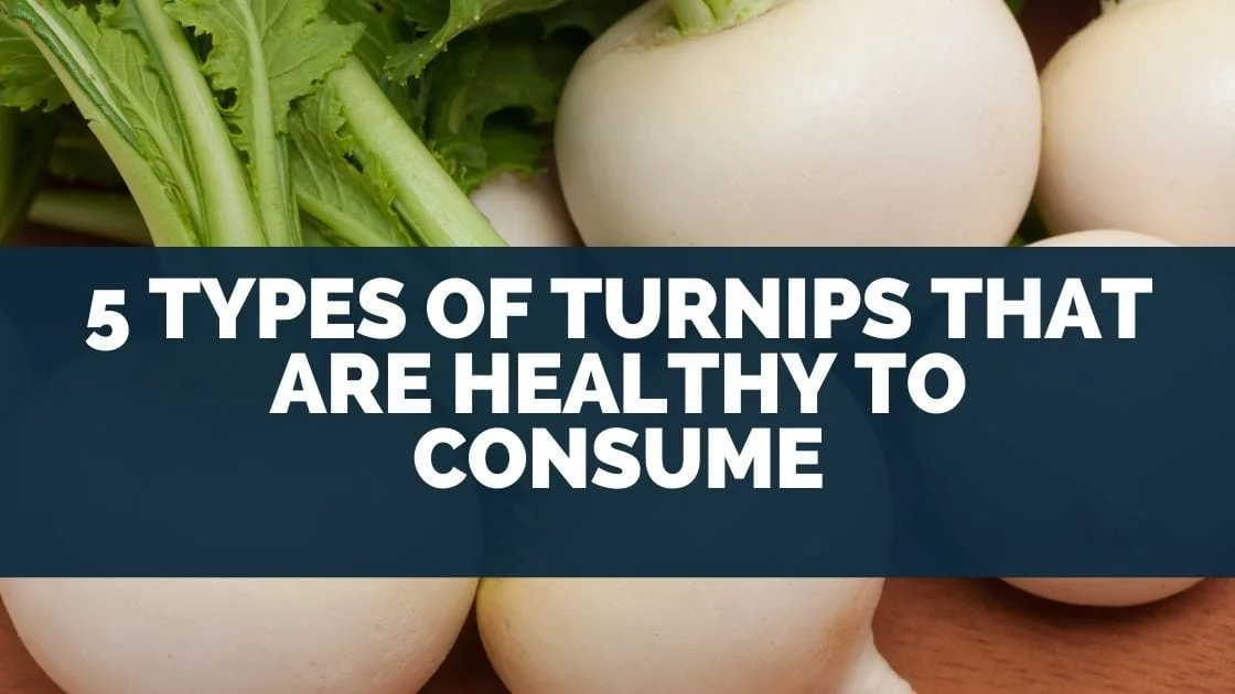 5 Types of Turnips That Are Healthy To Consume