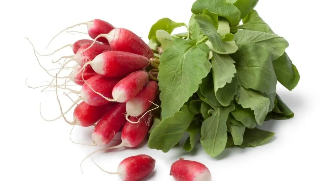 Allergy advice red radish