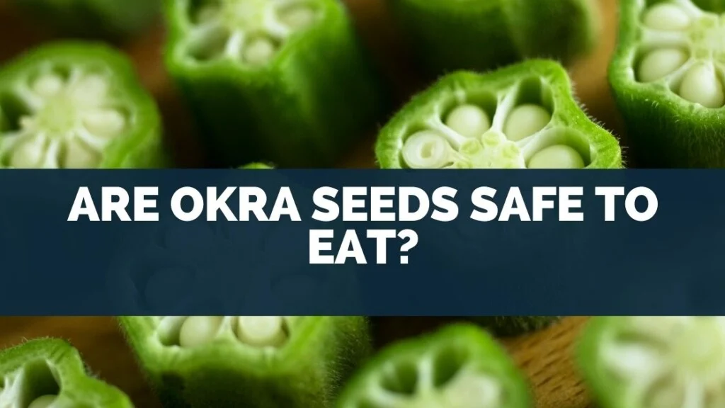 Are Okra Seeds Safe To Eat?