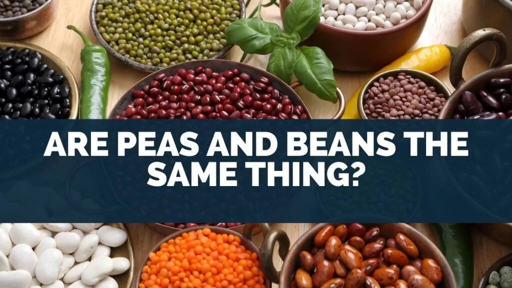 Are Peas and Beans The Same Thing?