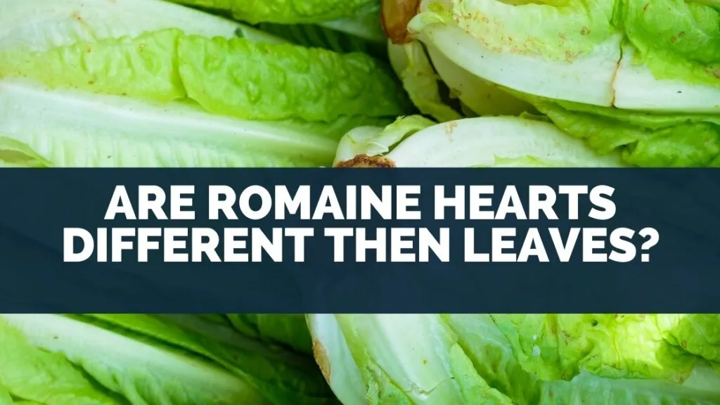 Are Romaine Hearts Different Then Leaves?