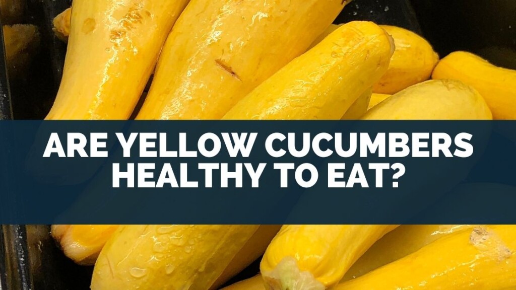 Are Yellow Cucumbers Healthy To Eat
