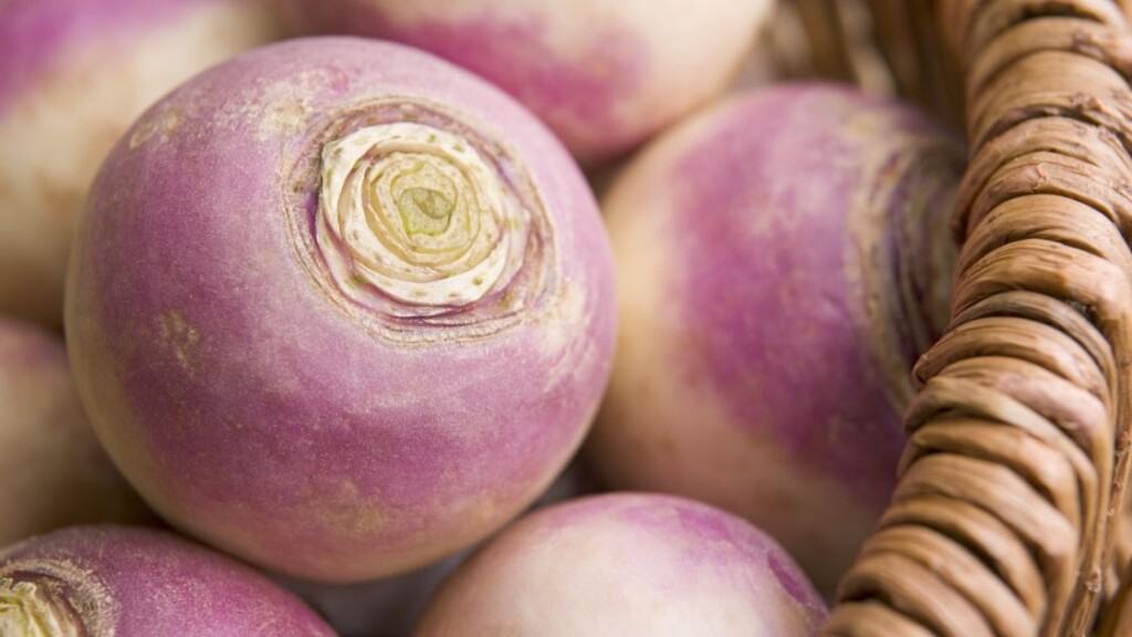 Are turnip seeds safe to eat
