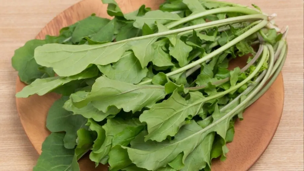 Arugula