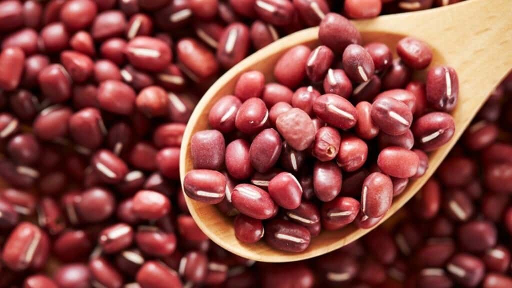 Benefits of Beans 