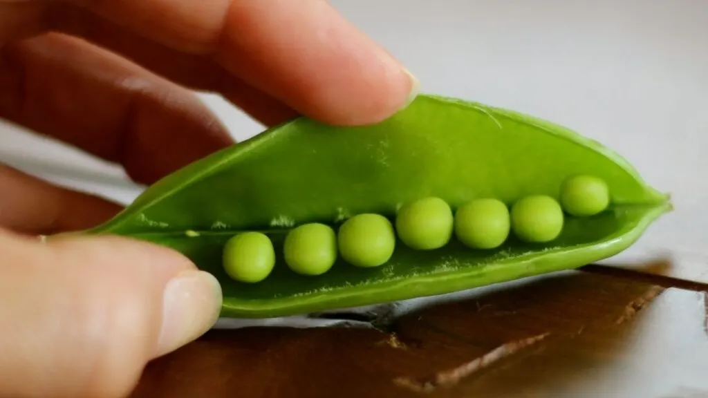 Benefits of Eating Pea Pods