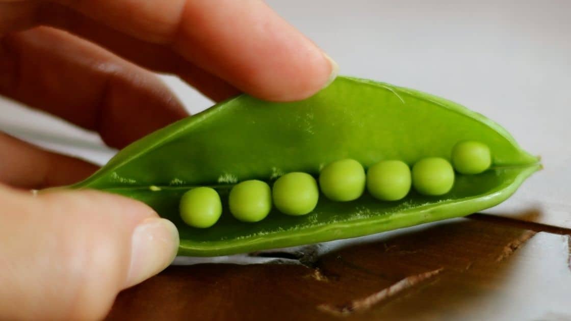 Health & Nutritional Benefits of Eating Pea Pods