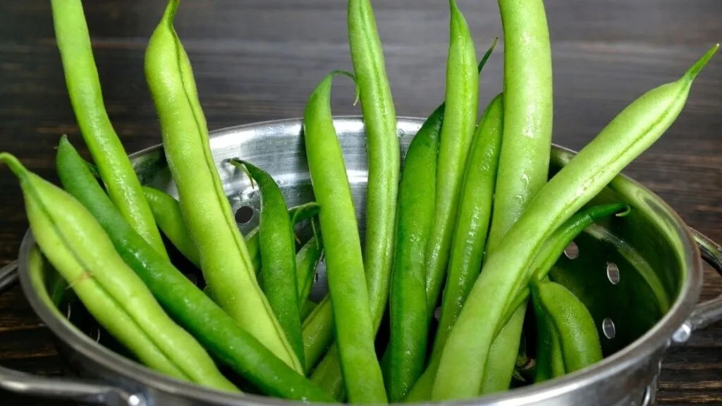 Benefits of raw green beans