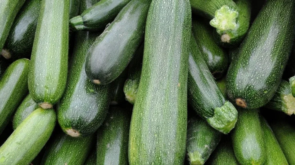 Benefits of zucchini