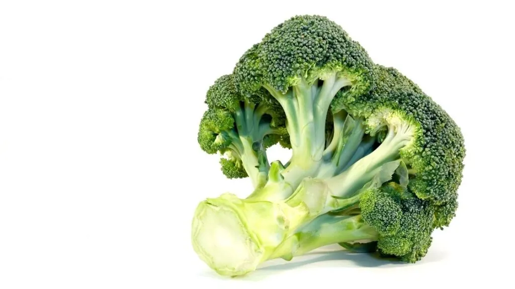 Broccoli Nutrition