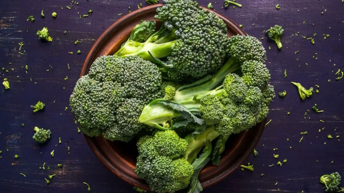 Broccolini vs. Broccoli What's The Difference?