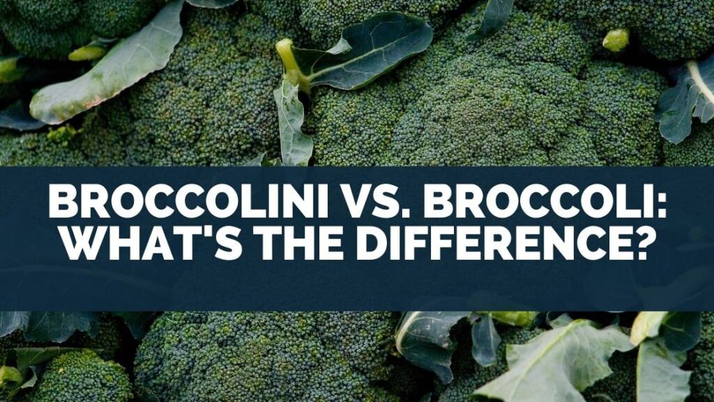 Broccolini vs. Broccoli What's The Difference