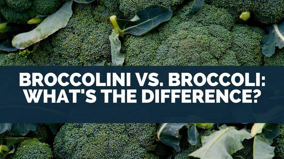 Broccolini vs. Broccoli: What’s The Difference?