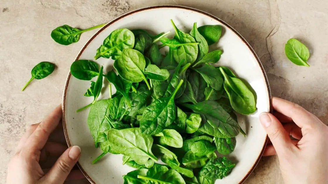 Relieving Constipation Does Spinach Make You Poop?