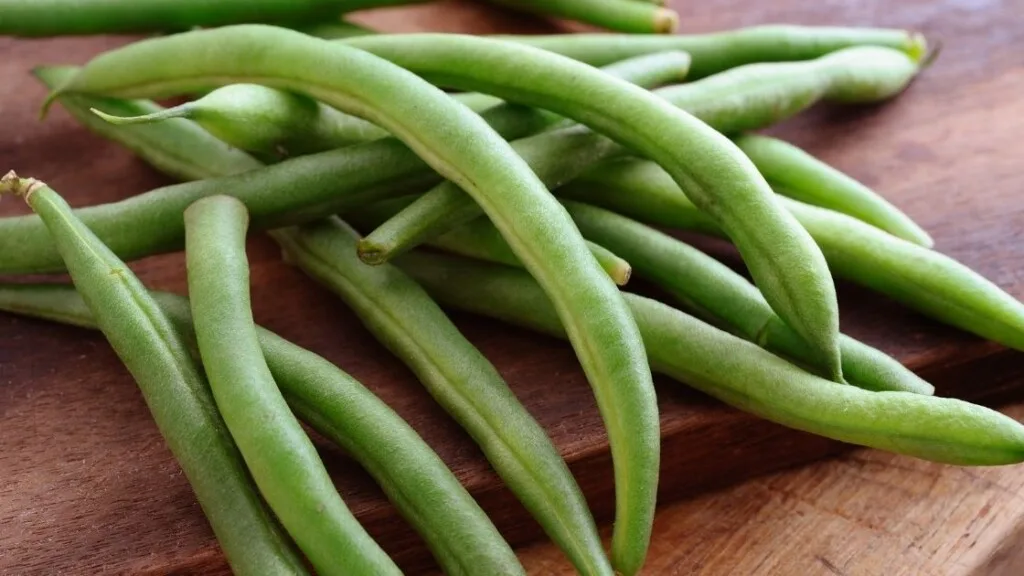 Can you eat raw green beans