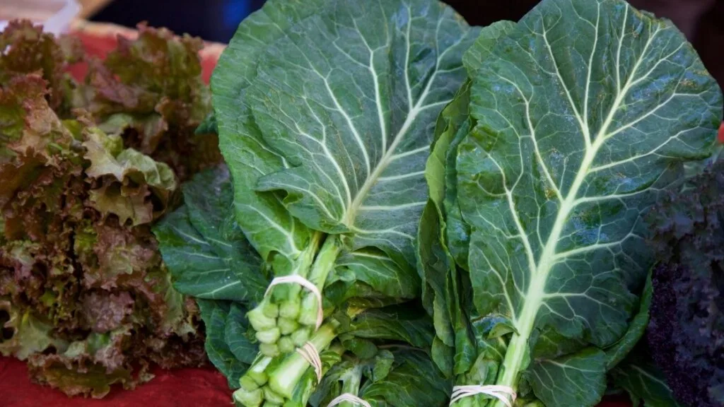 Cleaning Process Of Collard Greens