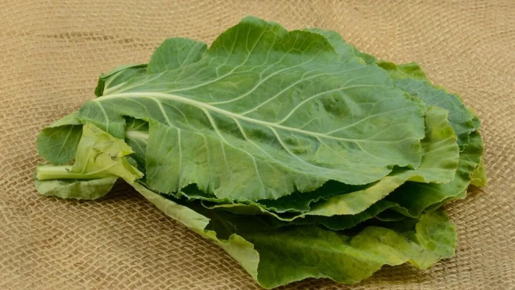 Collard Leaves