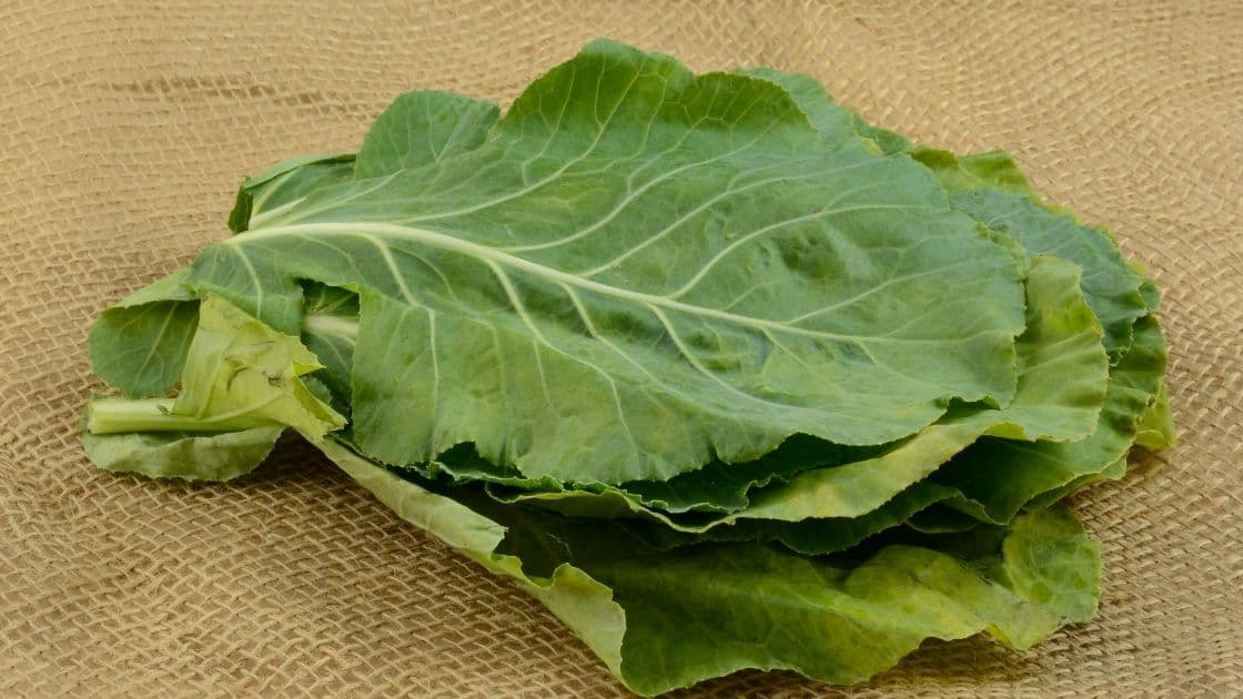 Can You Freeze Collard Greens?