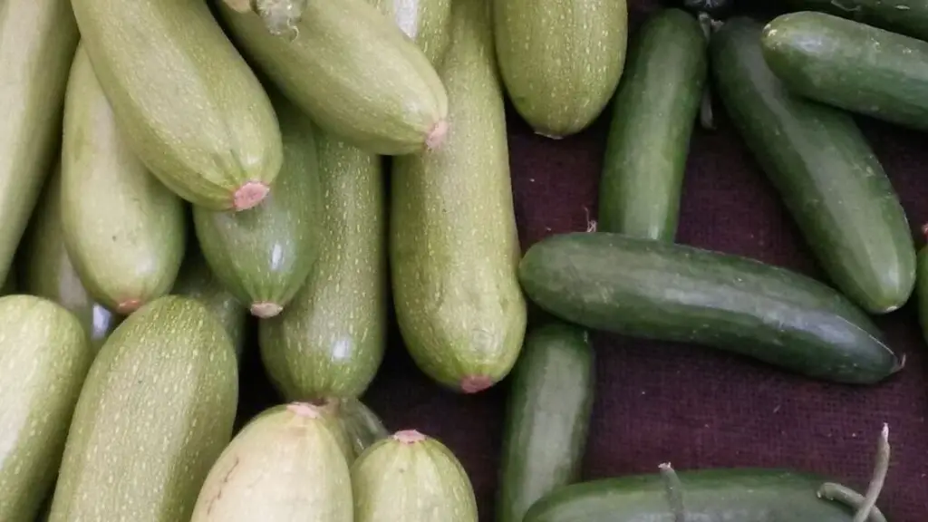 Cucumber vs Zucchini: What's the Difference