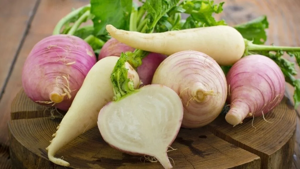 Differences between turnip and radish