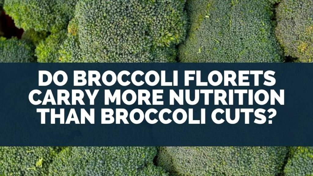 Do Broccoli Florets Carry More Nutrition Than Broccoli Cuts