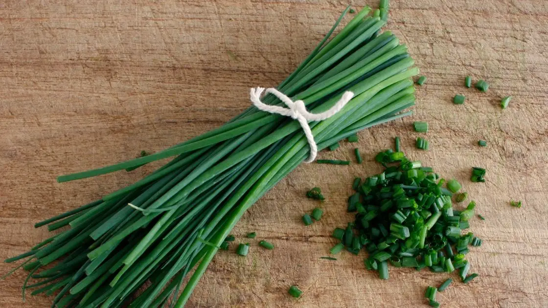 Can You Safely Freeze Fresh Chives?